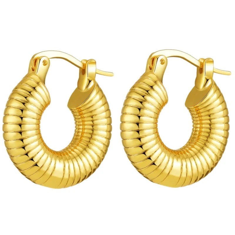 Earring loop hoop hypo allergenic and Tarnish free