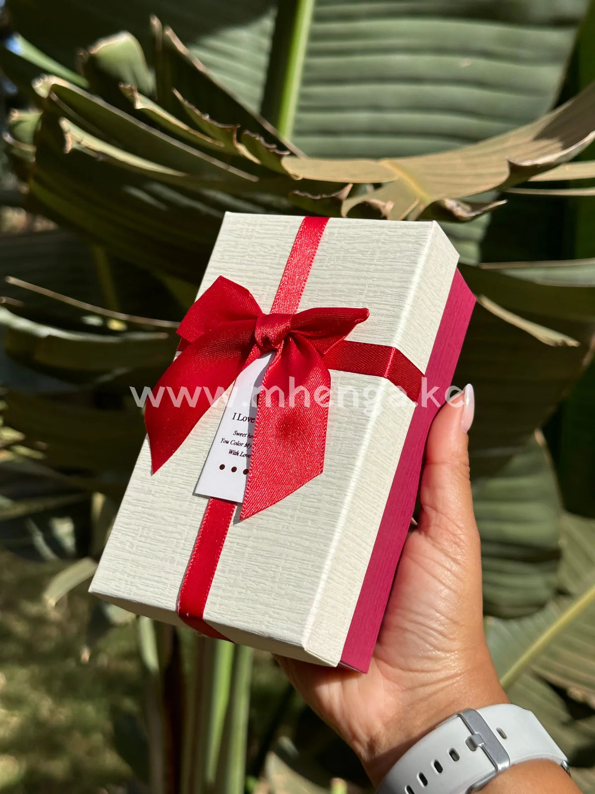 Gift Box Medium With Ribbon Cream / Red