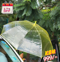 Umbrella Clear
